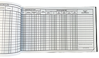Jeppesen Professional FAA Pilot Log Book code 10001795