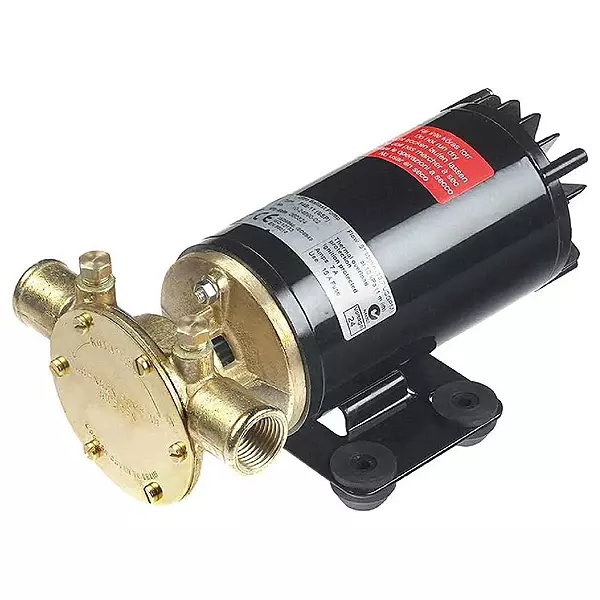 Johnson Pumps 10-24690-18 Rogue Ballast Pump 13.5 Gpm 12V, Black