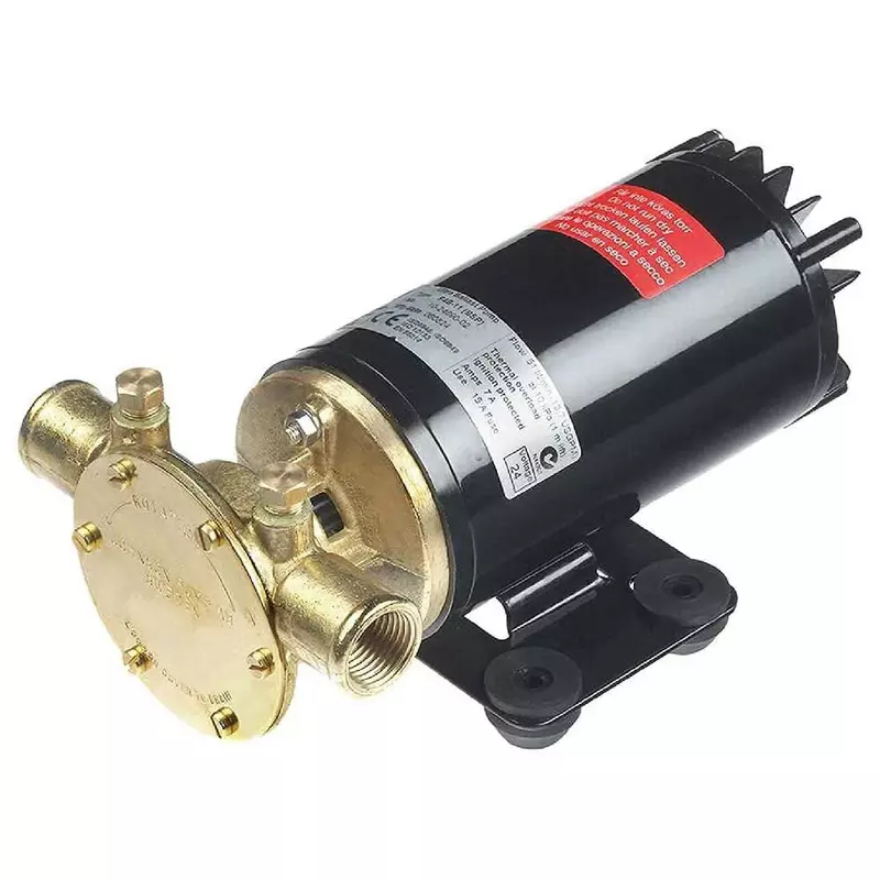 Johnson Pumps 10-24690-18 Rogue Ballast Pump 13.5 Gpm 12V, Black