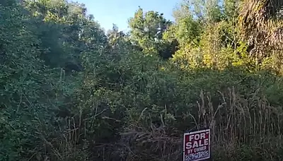 13161 Joyce Drive - Affordable .25 Acre Vacant Lot in Punta Gorda