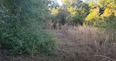 13161 Joyce Drive - Affordable .25 Acre Vacant Lot in Punta Gorda