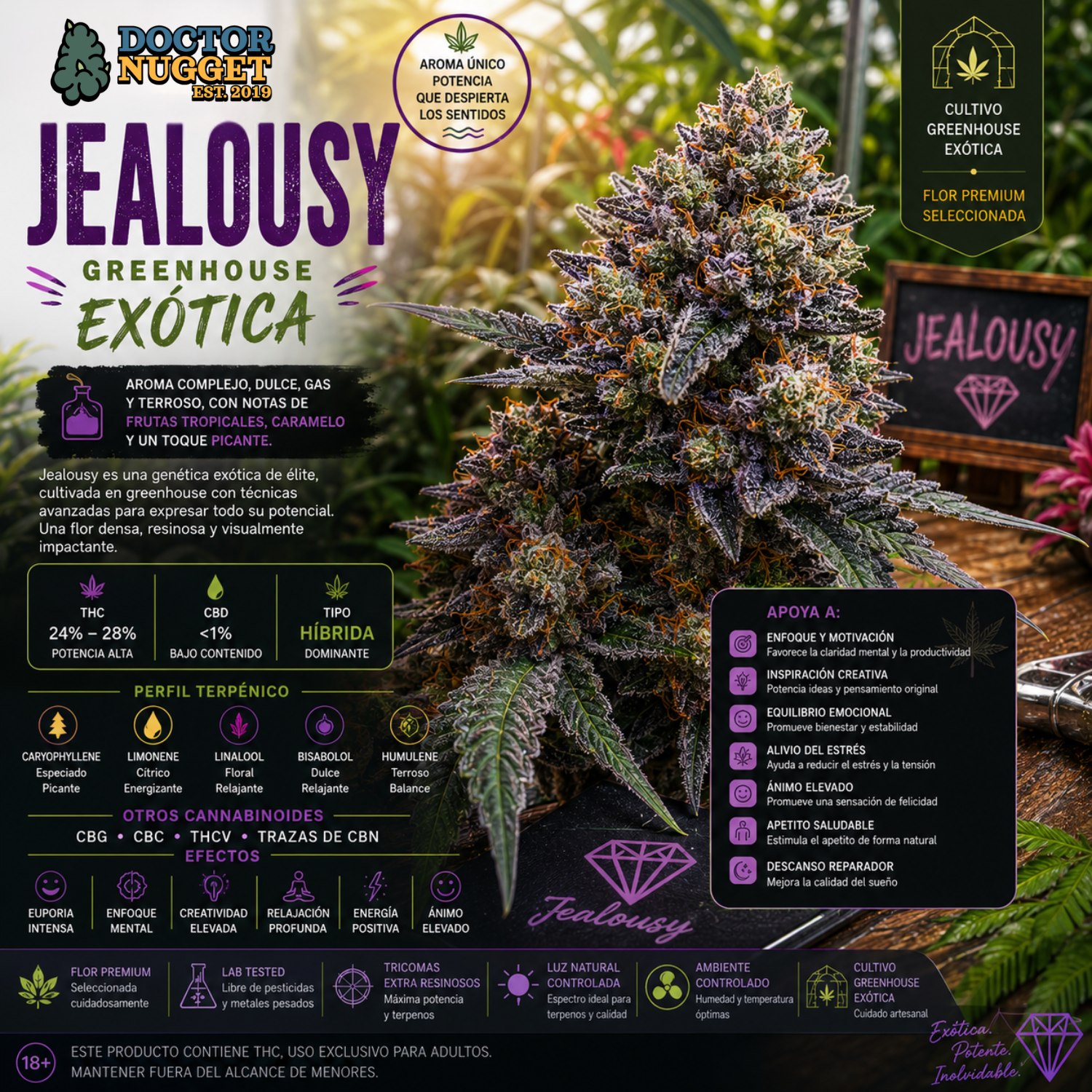 Dr. Nugget Jealousy THC Flor