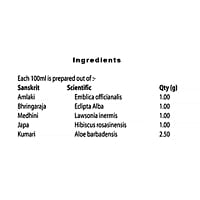 K.P Namboodiris Ayurvedic Hair Care Shampoo 100 ml