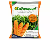 Hybrid Maize Kabamanoj F1