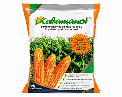 Hybrid Maize Kabamanoj F1