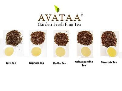 Kadha Tea - Wellness Kadha Tea - Wellness