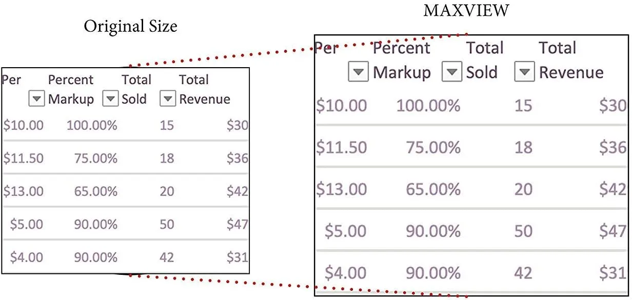 Kantek MAXVIEW LCD Monitor Magnifier