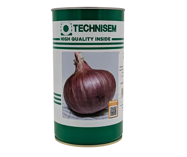 ONION KARIBOU