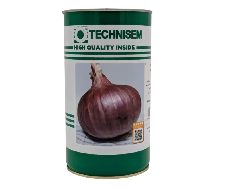 ONION KARIBOU