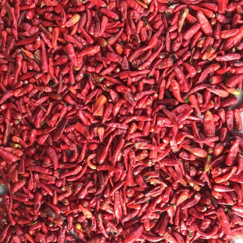 Kasmiri Chilli /  Kashmiri Mirch