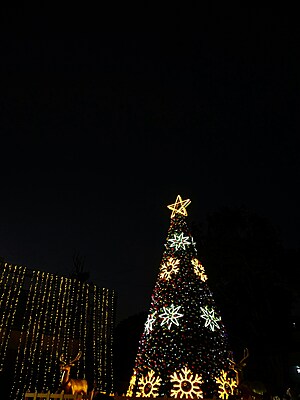 2023 TREE LIGHTING CEREMONY