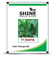 Okra F1 Kavya - Shine Brand Seeds