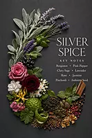 SILVER SPICE