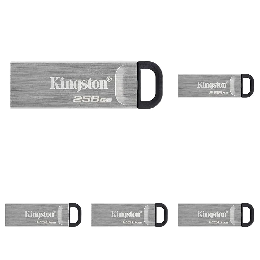 Kingston DataTraveler Kyson 256GB High Performance USB 3.2 Gen 1 Metal Flash Drive DTKN/256GB