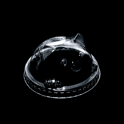 PACKAGING-90mm PET Kitty Lid