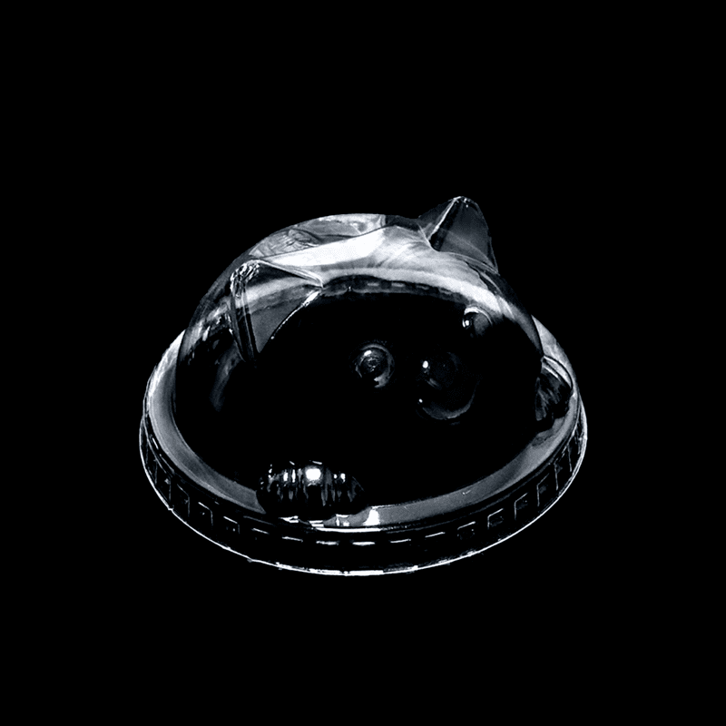 PACKAGING-90mm PET Kitty Lid