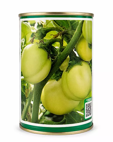 African Eggplant - Kotobi