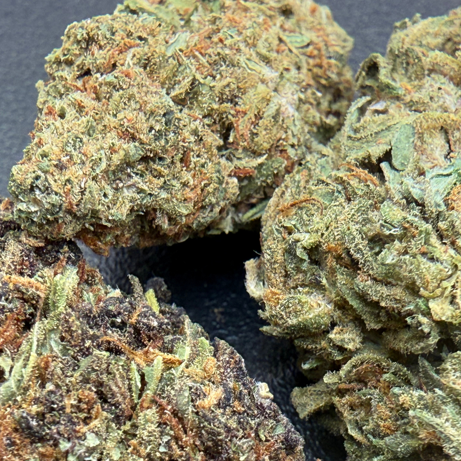 Kosher Kush Greenhouse Estándar