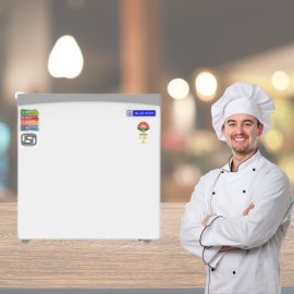 Blue Star 180 Litre Deep Freezer with its Castors for Easy Mobility