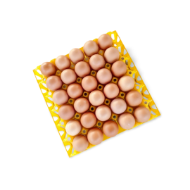 AgriBloom Table Eggs-Extra Large AgriBloom Table Eggs-Extra Large
