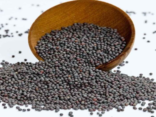 கடுகு 1kg | Mustard 1kg