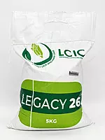 YELLOW MAIZE LEGACY 26