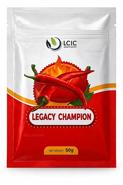 HOT PEPPER LEGACY CHAMPION