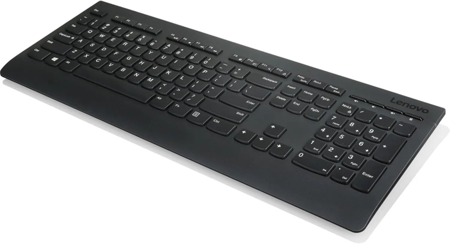 Lenovo Professional Wireless Keyboard and Mouse Combo, 2.4 GHz USB Wireless Receiver, Full Size Ambidextrous Mouse