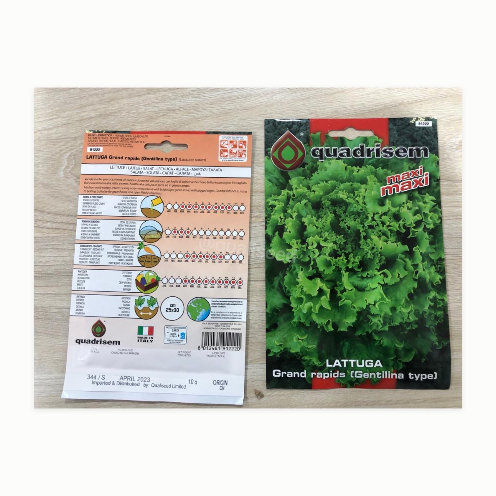 Lettuce Gentillina