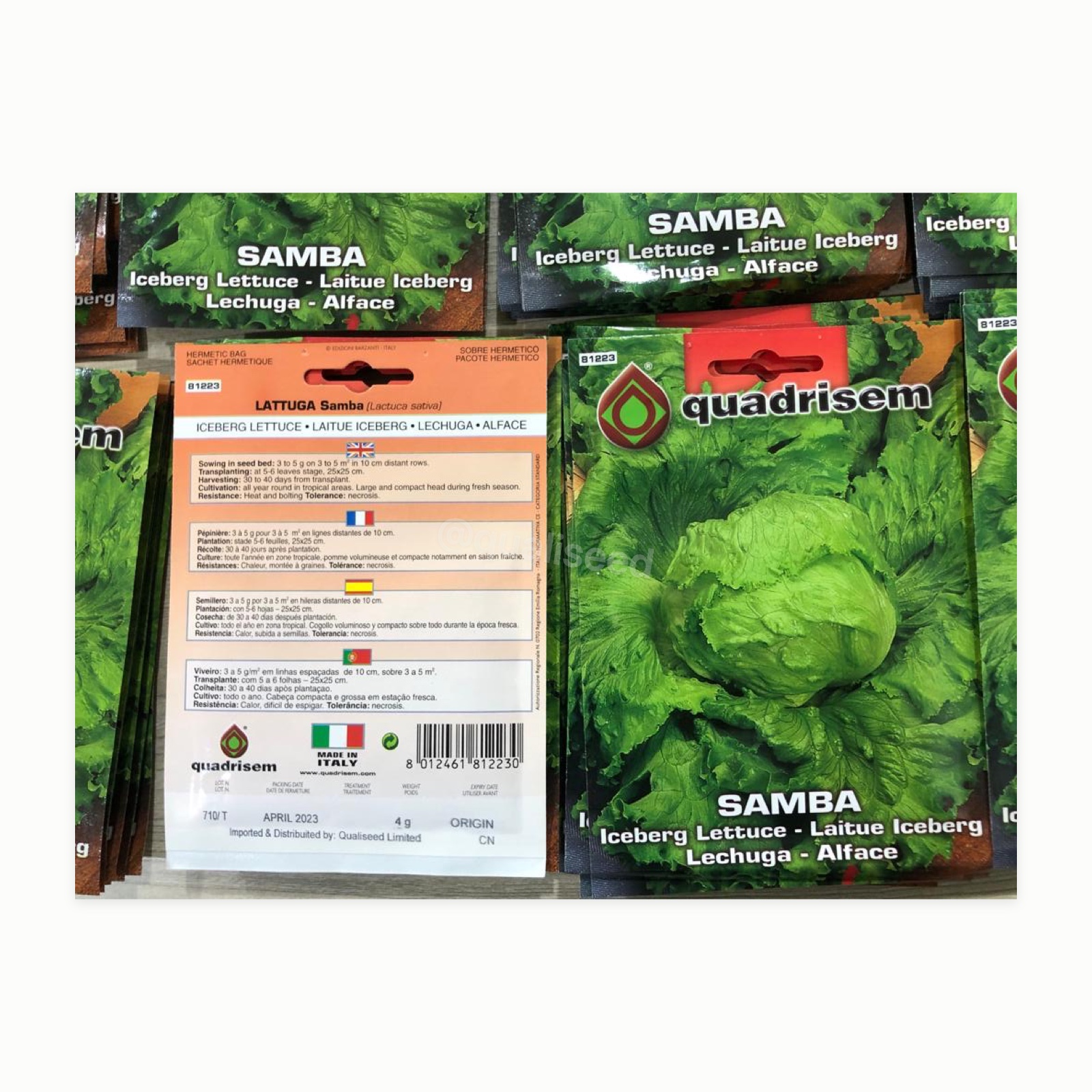 Lettuce Samba