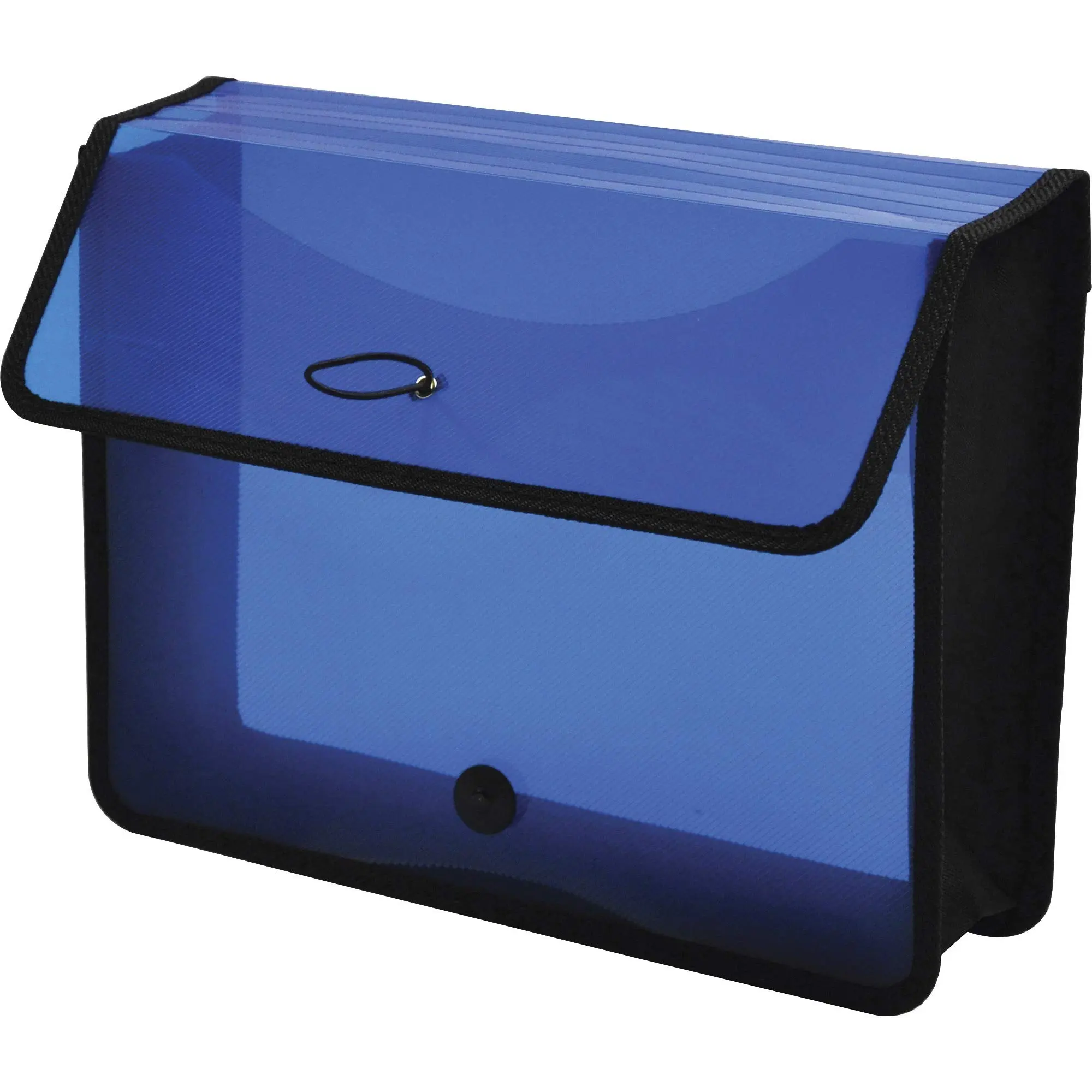 Lion Expand-N-File Poly Expanding Wallet, Letter, 3in Gusset