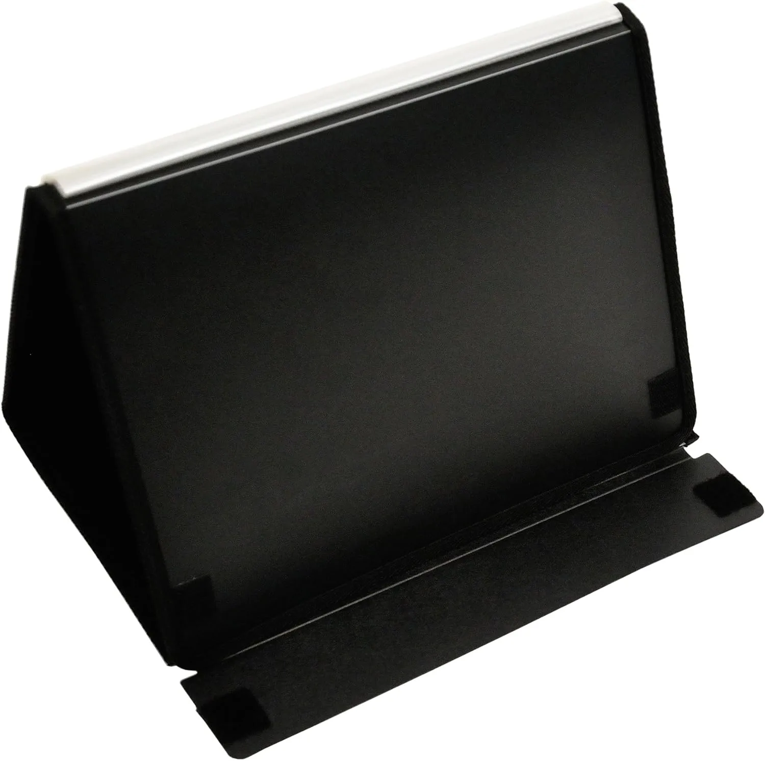 Lion Flip-N-Tell Display Book-N-Easel, Letter, 20 Double Sided Pockets, Horizontal