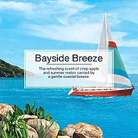 CAR FRESHNER Bayside Breeze Little Trees Air Freshener