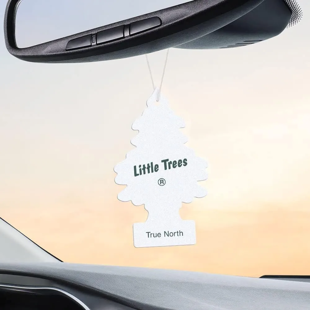 LITTLE TREES Car Air Fresheners for Automotive Interiors and Small Spaces