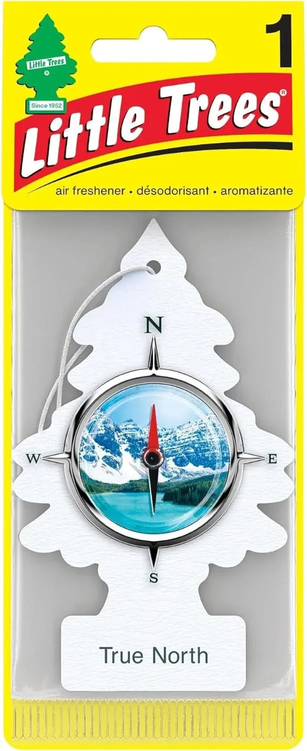 LITTLE TREES Car Air Fresheners for Automotive Interiors and Small Spaces