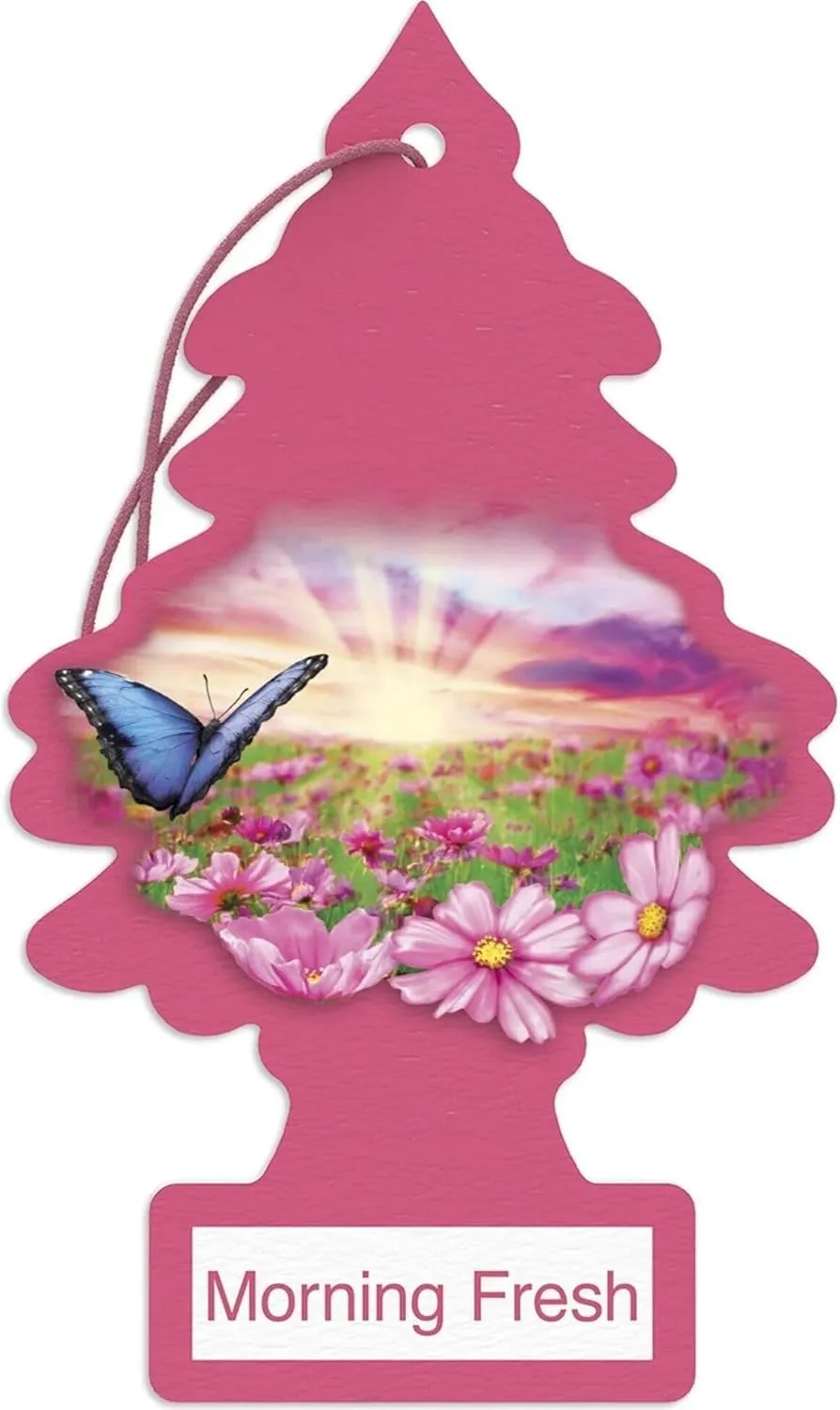 LITTLE TREES Car Air Fresheners for Automotive Interiors and Small Spaces