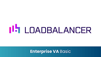 Loadbalancer.org EnterpriseVA Basic – Virtual Appliance Load Balancing Solution