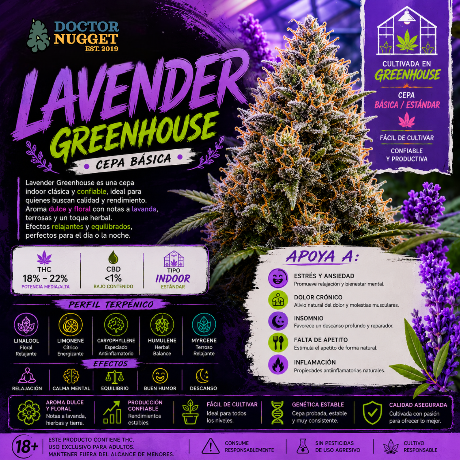 Dr. Nugget Lavender Greenhouse THC Flor