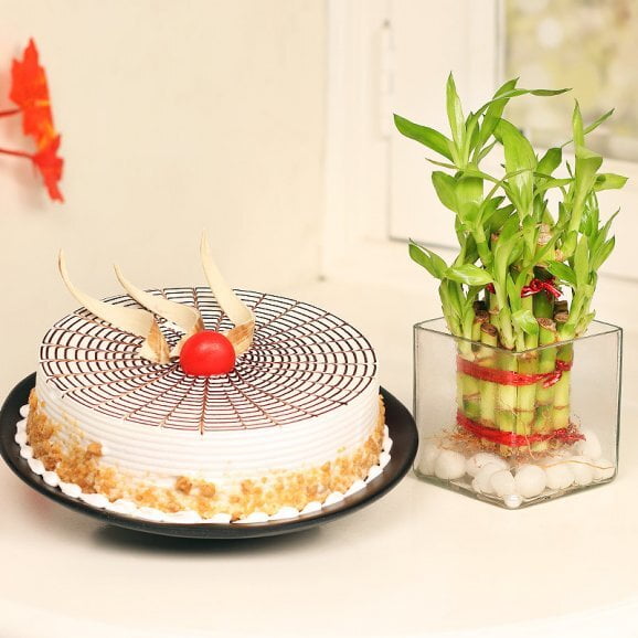 Lucky Bamboo And Butterscotch Cake Lucky Bamboo And Butterscotch Cake