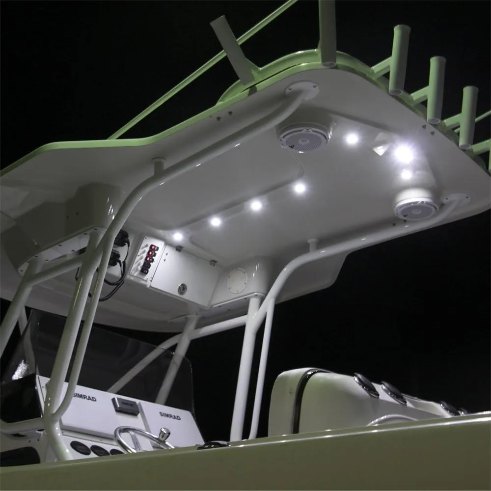 LUMITEC Capri2 Flush Mount LED Flood Light, Dual-Color Dimming