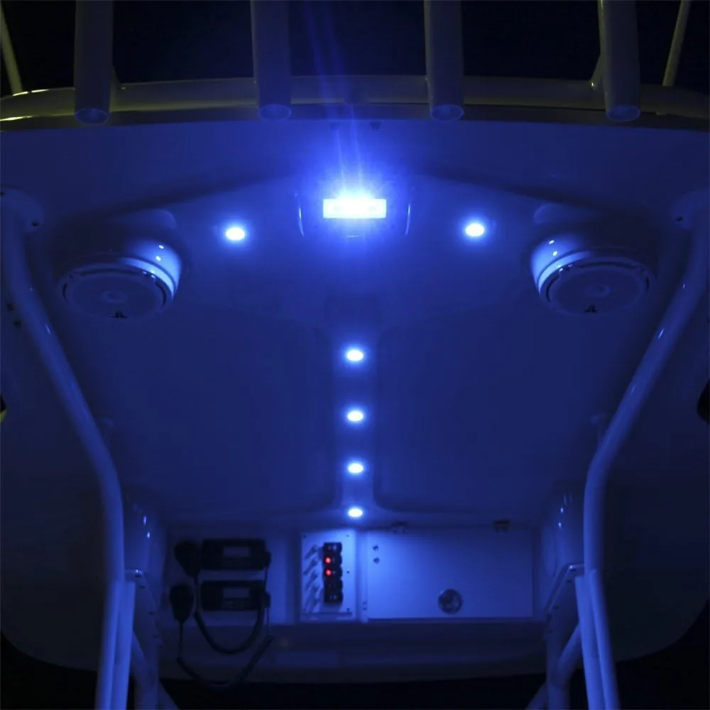 LUMITEC Capri2 Flush Mount LED Flood Light, Dual-Color Dimming
