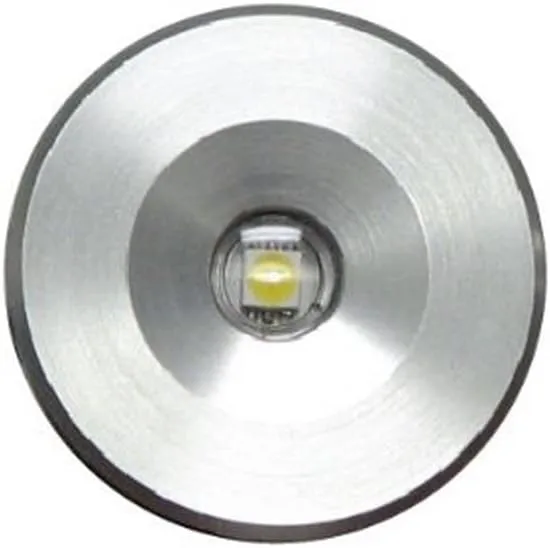 LUMITEC Echo Courtesy/Accent Light, 12 Volt LED
