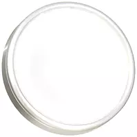 Lumitec Halo - Flush Mount Down Light - Brushed Finish - 4-Color White/Blue/Red/Purple Non-Dimming