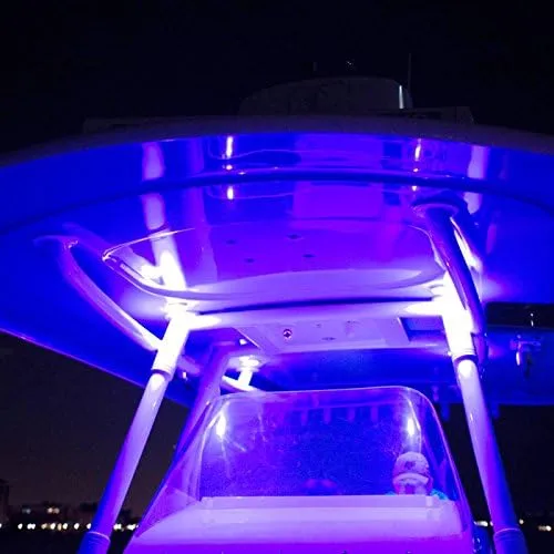 Lumitec Mirage SS Polished Bezel Exterior and Interior Flush Mount LED Down Light White dimming, Blue dimming