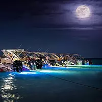 Lumitec Lighting 101511, LED Underwater Light, SeaBlaze Quattro Underwater Light, Dual Color White/Blue