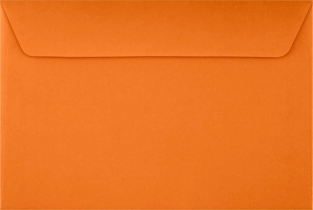 LUXPAPER Booklet 6in x 9in Envelopes, Gummed Seal