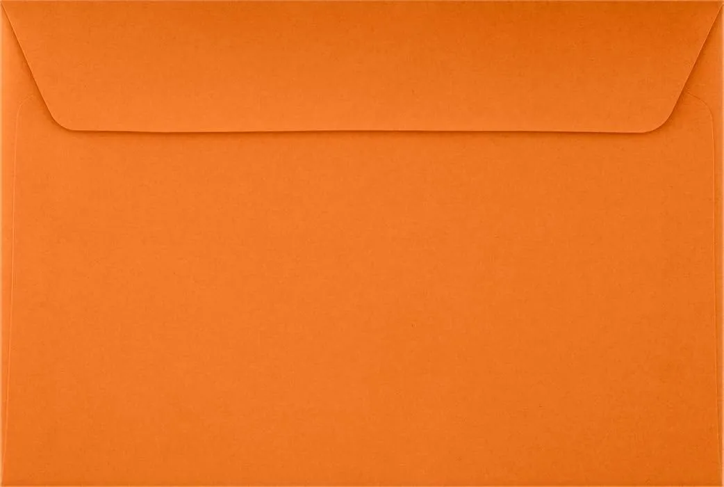 LUXPAPER Booklet 6in x 9in Envelopes, Gummed Seal