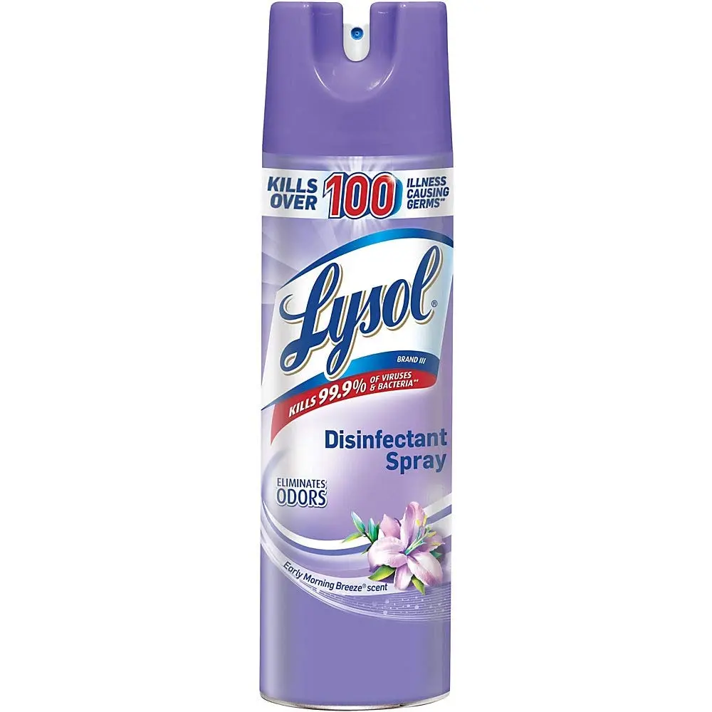 Lysol Disinfectant Spray, Sanitizing and Antibacterial Spray, For Disinfecting and Deodorizing, Early Morning Breeze, 19 Fl Oz, (Packaging May Vary)
