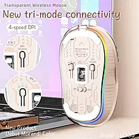 Wireless Transparent Mouse M333 - Purple