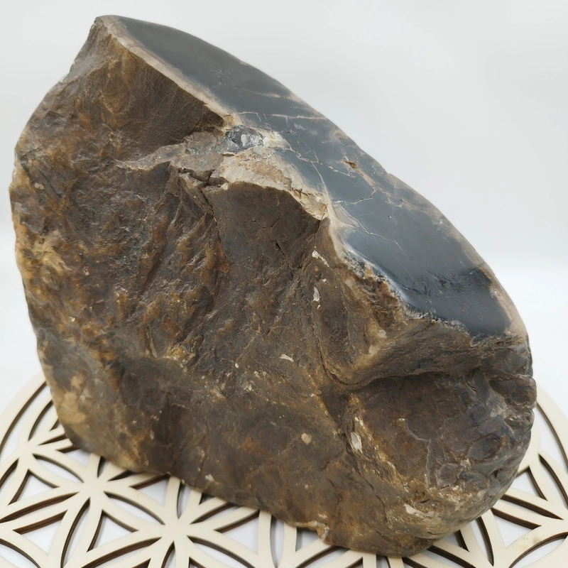 Especimen Madera Petrificada Marron / Xicopalo Marron